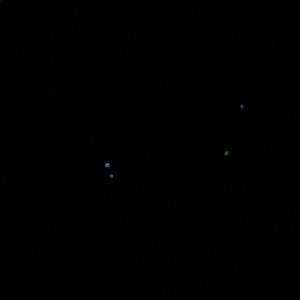 Meet your Posher, Bryan